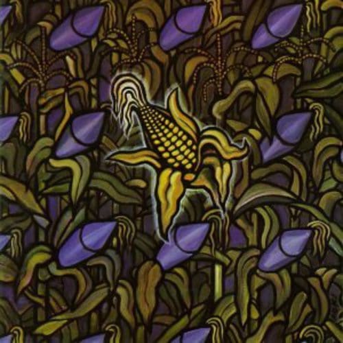 Bad Religion - Against the Grain - Black Vinyl