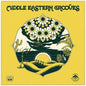 Various Artists - Middle Eastern Grooves