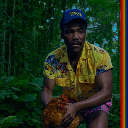 Childish Gambino - Bando Stone And The New World [Explicit Content] (Gatefold LP Jacket)