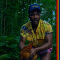 Childish Gambino - Bando Stone And The New World [Explicit Content] (Gatefold LP Jacket)