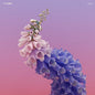 Flume - Skin [Import] (Holland - Import)