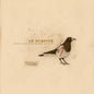 La Dispute - Somewhere at the Bottom of the River Between Vega and Altair (Colored Vinyl, Brown)