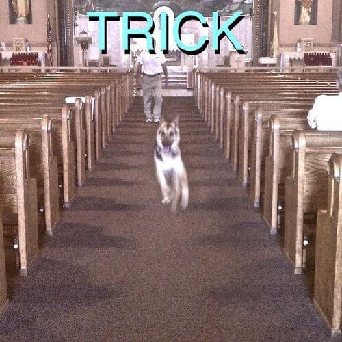 Alex G - Trick [Lp With Bonus 7-Inch] [Import]