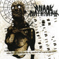 Anaal Nathrakh - When Fire Rains Down from the Sky, Mankind Will Reap as It Is Seen - Gray Vinyl