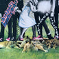 Ariel Pink - Oddities Sodomies Vol. 1
