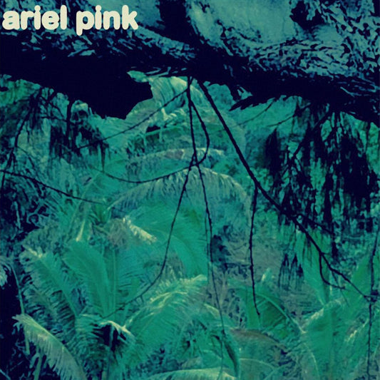 Ariel Pink - Odditties Sodomies Vol. 3