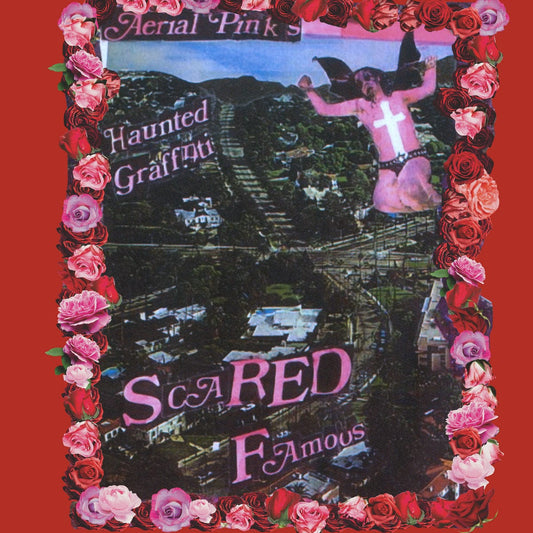 Ariel Pink - Scared Famous / FF