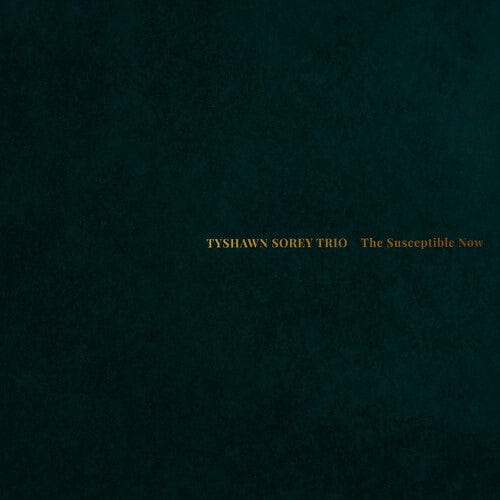 Tyshawn Sorey Trio - The Susceptible Now