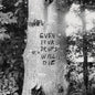 Richard Swift - Even Your Dreams Will Die
