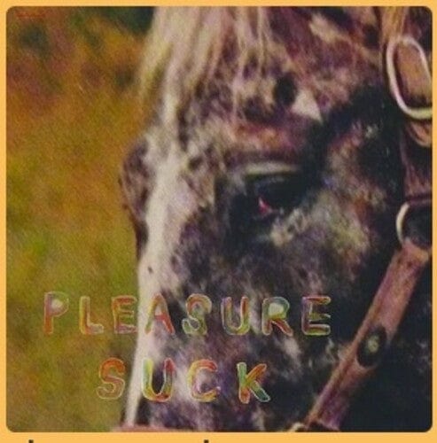 Spirit of the Beehive - Pleasure Suck (Limited Edition, Clear Vinyl, Orange)