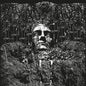Suicide Forest - Reluctantly