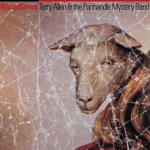 Allen, Terry & The Panhandle Mystery Band - Bloodlines