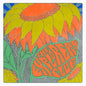 Explorers Club - Explorers Club - Black Vinyl