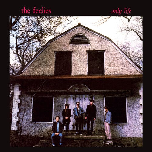 The Feelies - Only Life