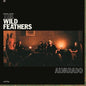 Wild Feathers - Alvarado
