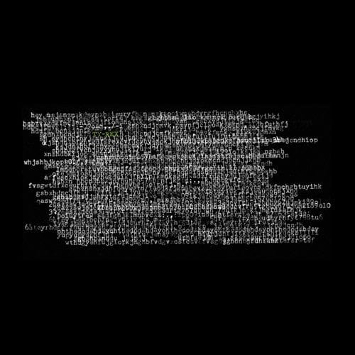 Ty Segall - Ty Rex - Black Vinyl
