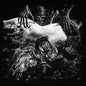 Vortex - Haxan