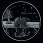 Wind In His Hair - Future Primitives