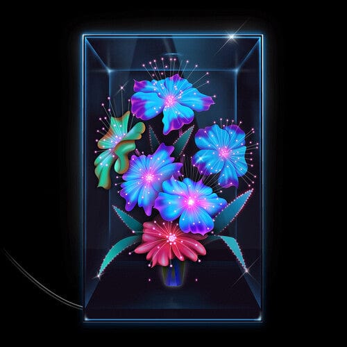 Xenia Rubinos - Una Rosa