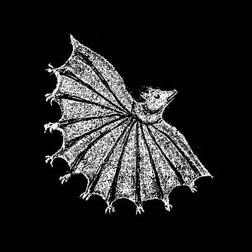 Xiu Xiu - Ignore Grief, Silver Ghost