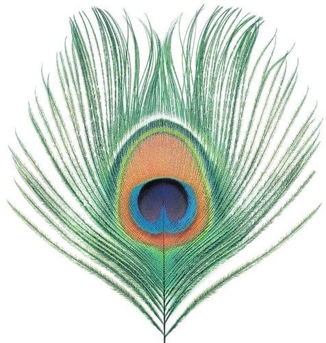 Xtc - Apple Venus Vol 1 [Import]